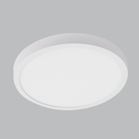 Light Bulbs