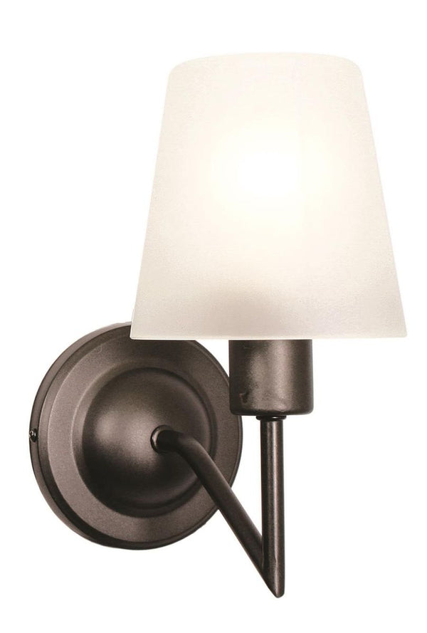 Bright Star 1 Lt Frosted Glass