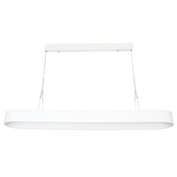 Thumbnail for LED, Metal and Plastic Pendant with Remote Control