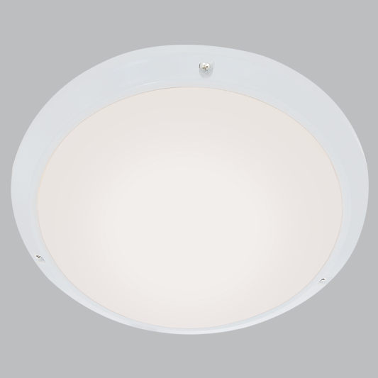 Bright Star 6W Led Bulkhead Abs Base Pc Cover Ip54 4000K 320L 6