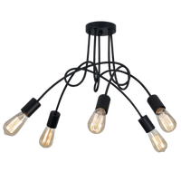 Thumbnail for Bright Star Black Metal Ceiling Fitting 5X60W ES 600X380Mm