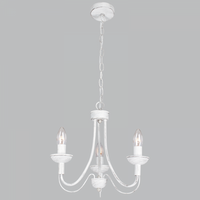 Thumbnail for Bright Star Fossil Metal Chandelier 3X60W SES - Superior Electrical