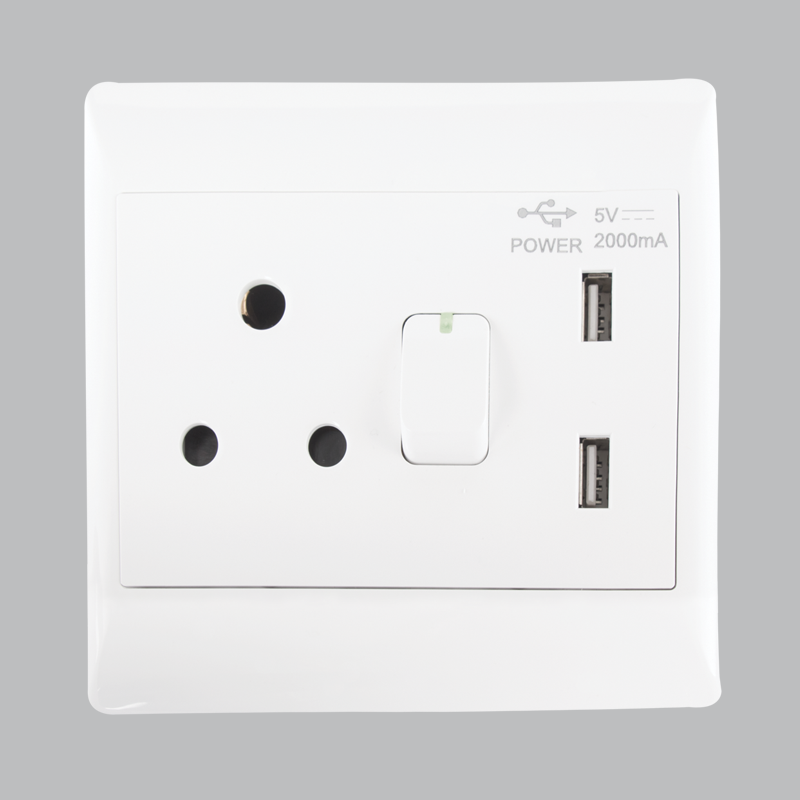 Bright Star 16 AMP PLUG + 2 USB 5V each (5 per box)