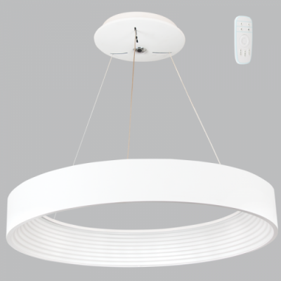 Metal And Plastic Pendant With Remote Control