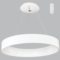 Thumbnail for Metal And Plastic Pendant With Remote Control